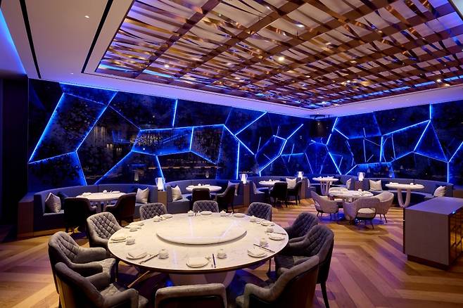 “38층, 그 상하이의 온도” 제주 최고층에서 펼쳐지는 미식 무대. 블루 조명이 감도는 공간 안에서, 상하이의 진함과 전망의 탁 트임이 마주 앉는다. (롯데관광개발 제공)