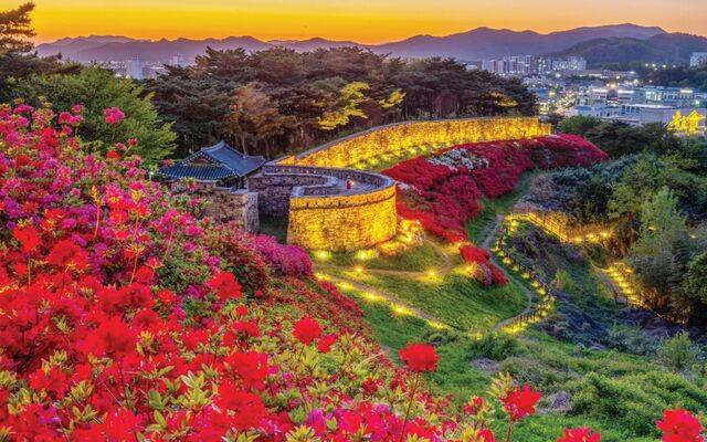 붉은 철쭉이 절정을 이룬 전북 고창읍성의 동쪽 치성 모습. '한국의 아름다운 길 100선'에 뽑힌 성곽길이 야간 조명을 받아 환상적인 풍경을 펼쳐놓고 있다.