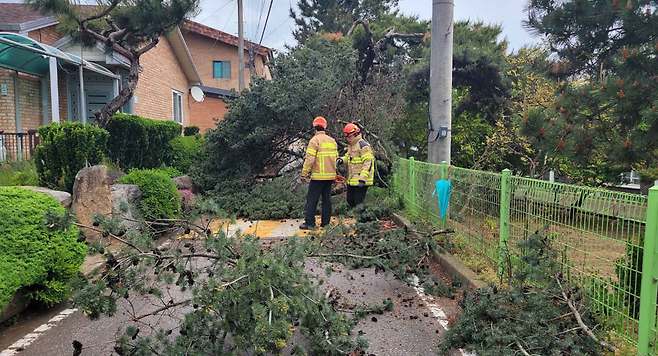 사진출처 : 전북소방본부