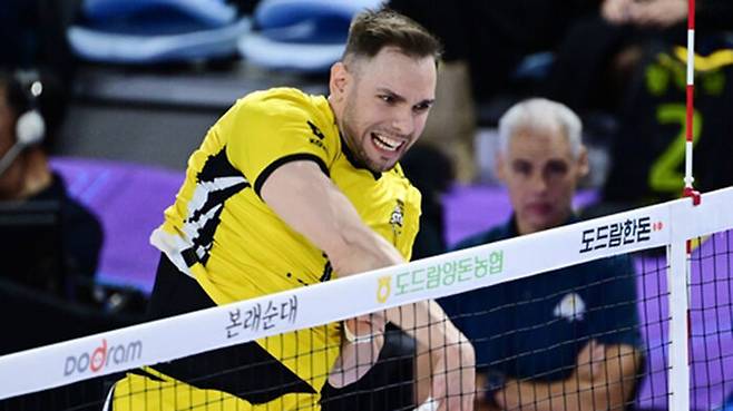 KB손해보험 비예나