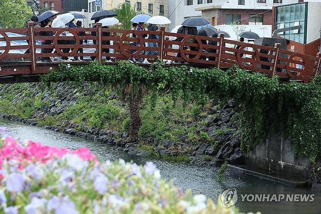 비 내리는 제주 (제주=연합뉴스) 박지호 기자 = 제주도에 호우특보가 내려진 9일 오전 제주시 산지천 인근에서 수학여행 온 학생들이 우산을 쓰고 이동하고 있다. 2025.5.9 jihopark@yna.co.kr