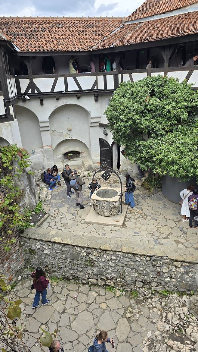 20250510_140625.jpg 드라큘라 성 여행