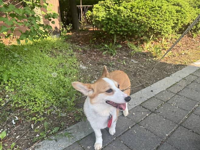 IMG_8477.jpeg 이동봉사 후 산책, 엄니랑 산책 다녀왔슴니다