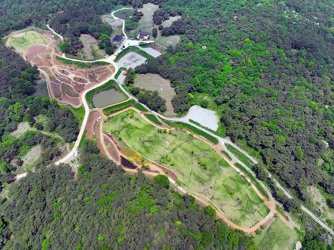 화순군수 외가 문중 땅에 조성된 꽃단지 (화순=연합뉴스) 천정인 기자 = 11일 전남 화순군 춘양면 대신리 일대 관광 꽃단지가 조성돼 있다. 해당 부지는 구복규 현 화순군수의 외가 문중 땅으로 알려지면서 특혜 의혹이 일었다. 2025.5.11 iny@yna.co.kr