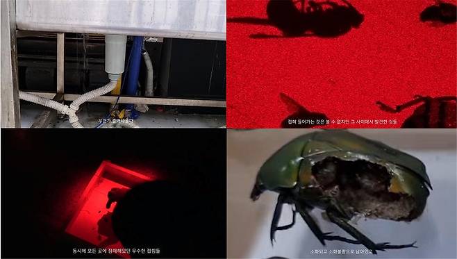 김지오, holo_, 2023, 단채널 영상, 사운드, 3분 22초 / 사진=스튜디오126