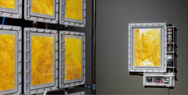 백정기 작가 개인전 ‘is of’ 전시 전경. 아라리오뮤지엄 제공