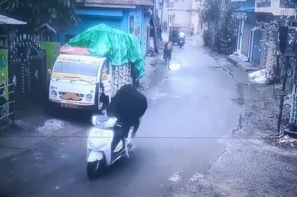 인도 우타라칸드 주 리시케시 지역에서 길을 가던 소가 오토바이를 몰고 있다. 엑스(X) 캡처