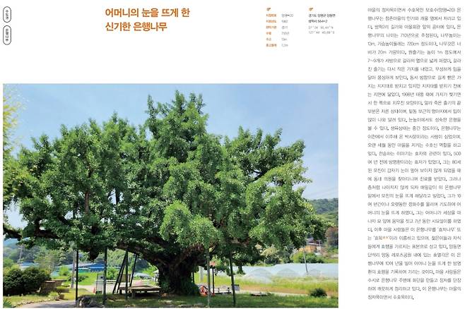 ‘이야기가 있는 보호수 2’. 산림청