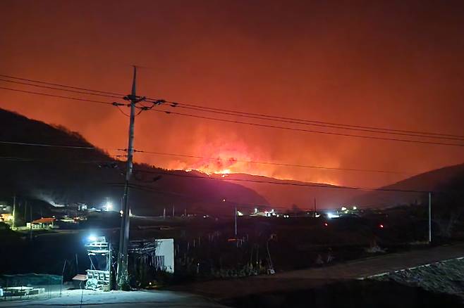 불에 타고 있는 의성군 안평면 괴산리의 한 야산. 괴산1리 김정호 이장 제공