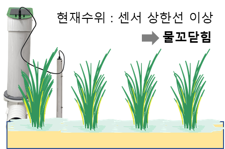 단순형 자동 물꼬의 수위 자동 제어 모습. 농촌진흥청