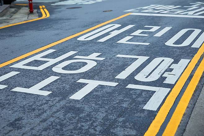 스쿨존 무신호 횡단보도 일시정지