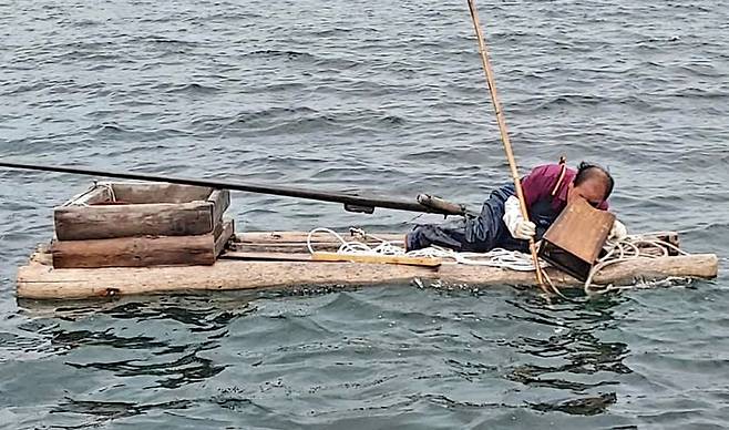 바닷속 미역을 채취하고 있다. /울릉도독도해양연구기지