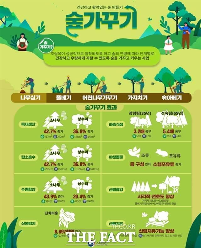 충남도는 올해 344억 원을 투입해 1만 7136ha 규모 '맞춤형 숲 가꾸기' 사업을 추진한다. /충남도