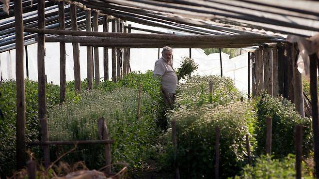 무히카 전 대통령이 정치계 안팎에서 보여준 검소한 생활 방식은 오랫동안 사람들의 기억에 남을 것이다