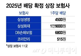 2025년 배당 확정 상장 보험사/그래픽=이지혜