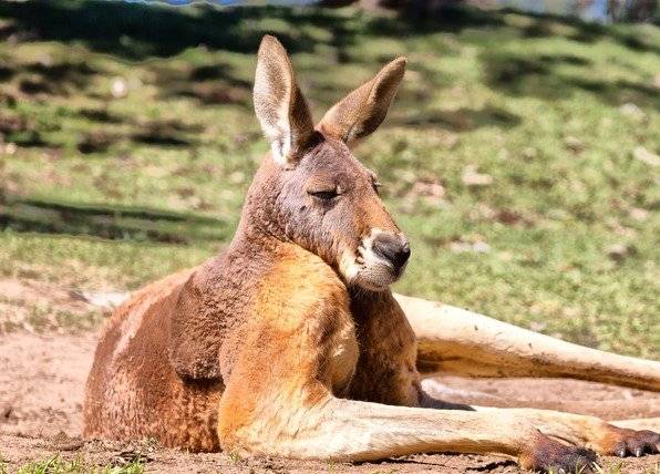 게티이미지뱅크.