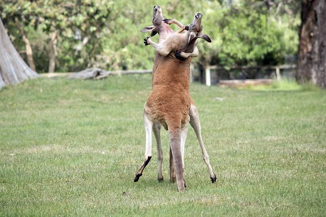게티이미지뱅크.