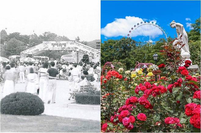 1985년 장미축제 개막 당시 모습(왼쪽 사진)과 최근 촬영된 에버랜드 로즈가든. 에버랜드 제공