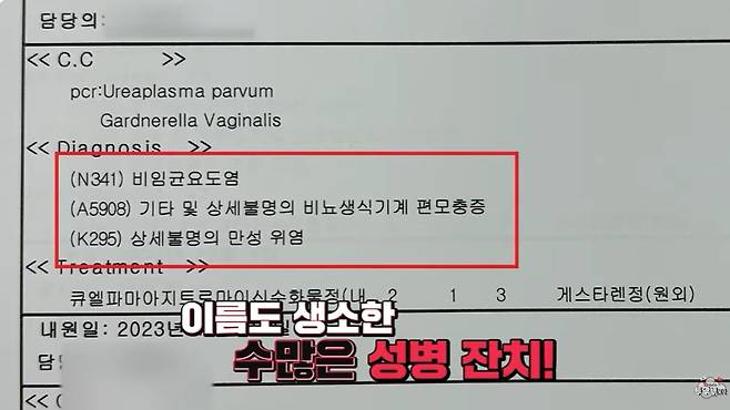 갑자기 아랫배가 아프다던 B씨는 산부인과에서 4가지 성병 진단을 받았다. 당연히 남편도 B씨와 같은 성병에 감염된 상태였다. 입국 전 건강검진에서는 특별한 이상이 없었는데, 불과 7개월 만에 성병에 감염된 게 이상했던 남편은 B씨의 외도를 의심하게 됐다. /사진=유튜브 채널 '투우부부'