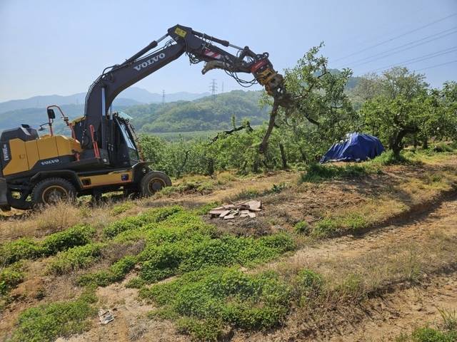 ▲ 매몰 작업 현장./충주시 제공