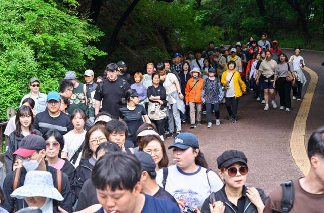 제491회 한국일보 거북이마라톤 '굿피플 발달장애인 인식개선을 위한 거북이마라톤'이 열리는 17일 오전 참가자들이 서울 중구 남산 백범광장-북측순환로-국립극장 삼거리로 이어지는 6km 코스의 남산둘레길을 걷고 있다. 최주연 기자