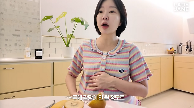 유튜브 채널 ‘레이디제인’