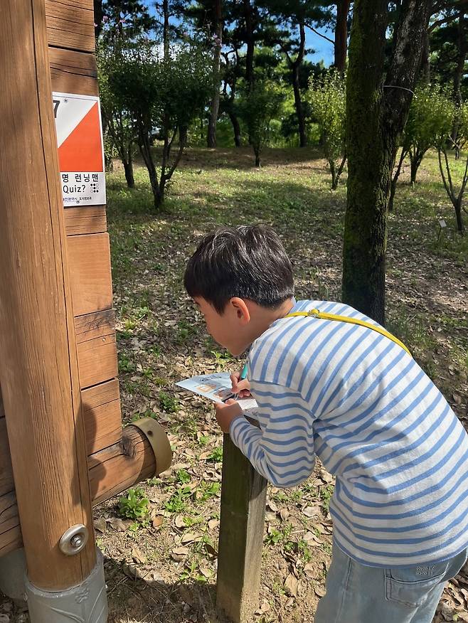 도로명주소의 이해와 재난안전교육을 접목한 게임형 체험 프로그램 ‘도로명 런닝맨’. 대전시 제공