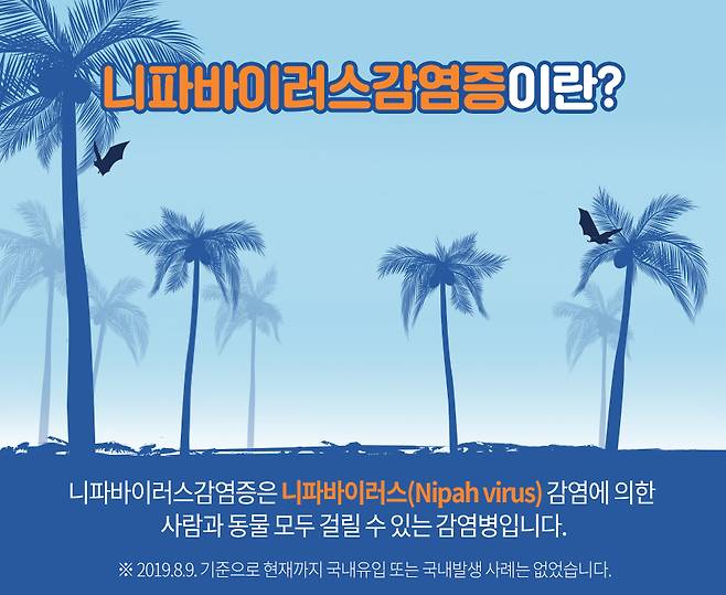 /사진=질병관리청