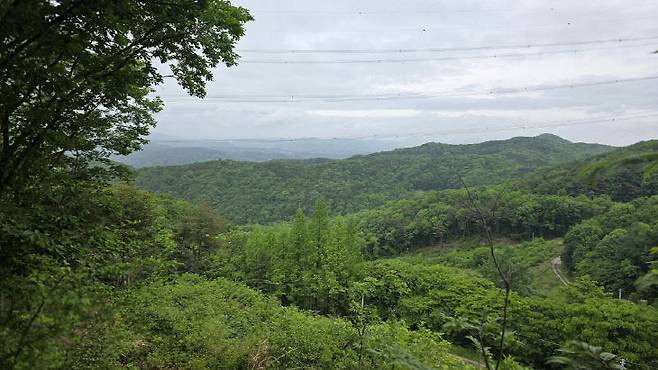 금이성 인근에서 바라본 전경. 사진=이희택 기자.