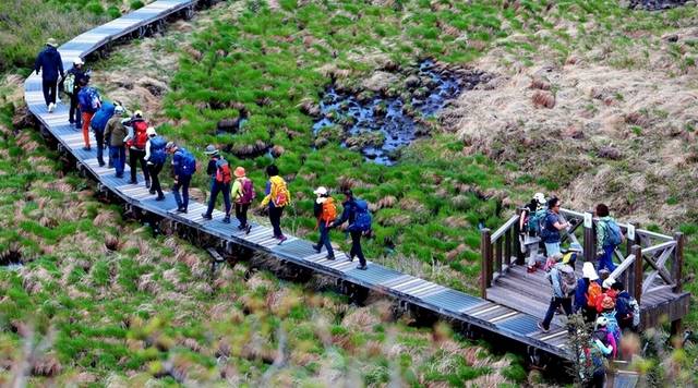 ▲ 인제 대암산 용늪 생태탐방이 최근 재개돼 재개 후 첫 주말·휴일인 지난 18일 탐방객들이 4000여년에 걸쳐 형성된 자연의 숨결을 만끽하고 있다. 대암산 용늪은 해발 1280m에 자리한 우리나라에서 유일한 고층 습원이며 여러 희귀 동식물이 서식하고 있으며 ‘이탄습지 지형’이 잘 보존돼 있다. 인제군 제공
