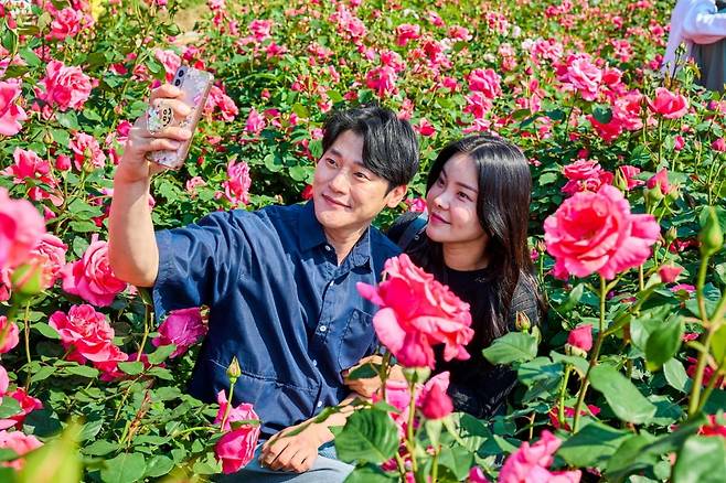중랑구 장미 축제를 찾은 시민들. 중랑구 제공