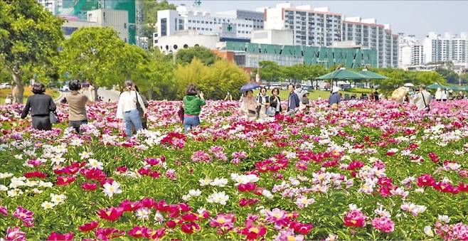 지난 16~18일 봄꽃축제가 열린 울산 태화강 국가정원에서 관람객들이 꽃을 감상하고 있다. /울산시 제공