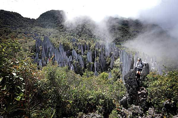 물루 피너클을 배경으로 포즈를 취했다. 일반인에게 개방된 유일한 전망대다. 포토존 뒤는 수백 미터 낭떠러지다.