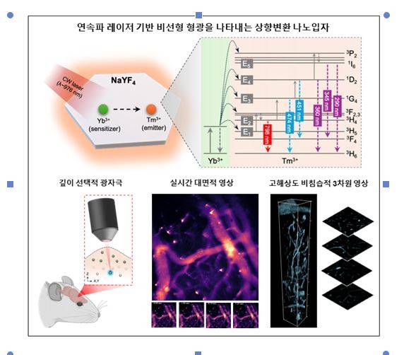 연속파 레이저 기반 상향변환 나노입자를 활용한 비선형 형광 영상 원리와 응용 예시. 연구그림=유니스트