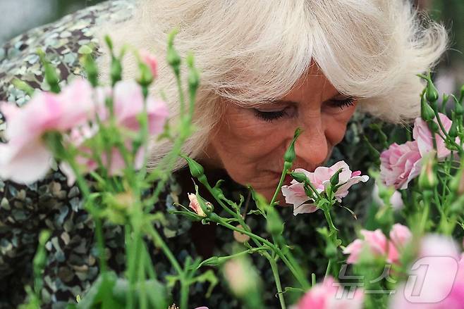 영국 카밀라 왕비가 19일(현지시간) 영국 런던에서 열린 RHS 첼시 플라워쇼 프리뷰 행사에서 장미의 향을 맡고 있다. ⓒ AFP=뉴스1