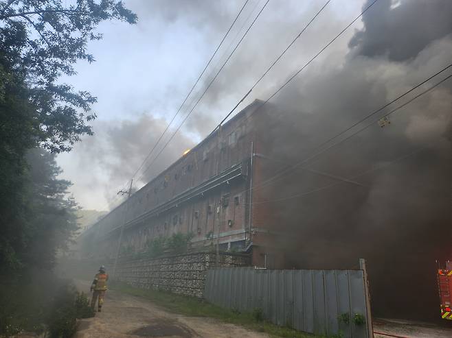 19일 화재가 발생한 경남 합천군 율곡면 한 돈사 현장. 20대 남성 1명이 숨지고, 돼지 1만3000마리가 폐사했다. /경남소방본부