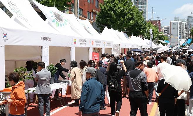 지난해 제2회 경춘선 공릉숲길 커피축제를 찾은 시민들. 노원구 제공
