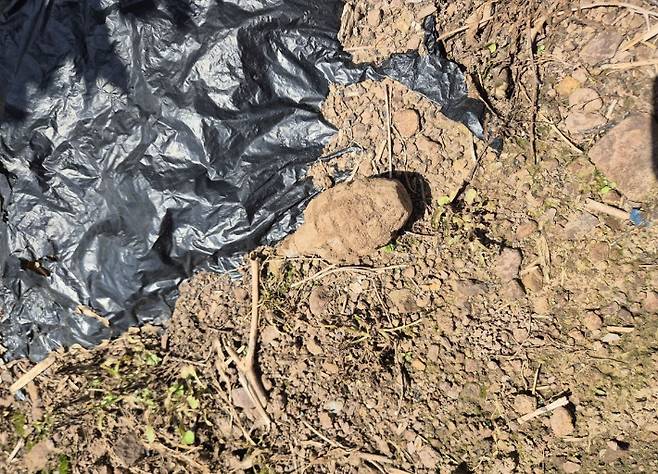 경북소방본부 제공