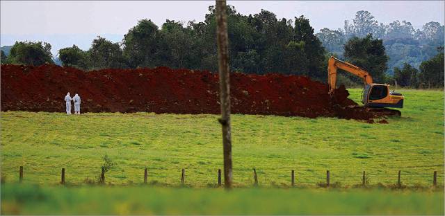 고병원성 조류인플루엔자(AI)가 발생한 브라질 남부 히우그란지두술주 몬치네그루지역에서 17일(현지시각) 양계농장 근로자들이 감염 개체 살처분 등 방역조치를 하고 있다. AFP연합뉴스