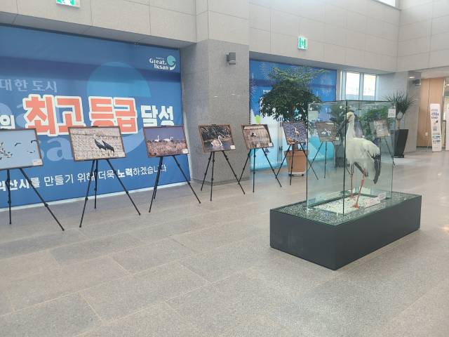 ▲익산시는 지역 생태계와 자연의 소중함을 알리고 생물다양성 보전에 대한 시민들의 관심과 참여를 이끌어 내고자 이번 사진전을 마련했다. ⓒ프레시안