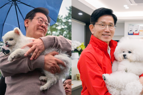이재명 더불어민주당 대선 후보(사진 왼쪽)가 지난 9일 경북 지역에서 한 시민의 강아지를 건네받은 모습과 김문수 국민의힘 대선 후보가 12일 대구의 한 동물병원에 방문해 강아지를 안고 있는 사진. 각각 이 후보 페이스북·국민의힘 선대위 미디어홍보단.