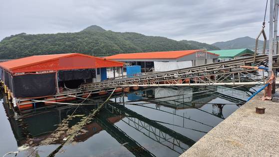 21일 오전 10시30분쯤 경남 통영시 산양읍 멍게 선별 작업장 중 한 곳을 제외한 다른 작업장엔 적막이 감돌았다. 김민주 기자