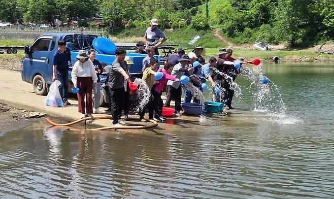 대청호 뱀장어 치어 방류(사진=옥천군 제공) *재판매 및 DB 금지