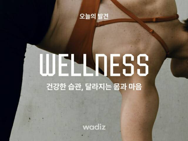 와디즈, 매일 다른 ‘취향 발견’ 큐레이션 인기. (제공=와디즈)