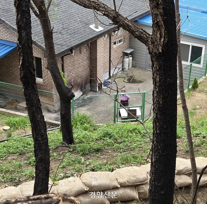 안동시 임하면 추목리 한 마을에서 지난 21일 산사태 예방을 위한 모래주머니가 쌓여 있다. 김현수 기자