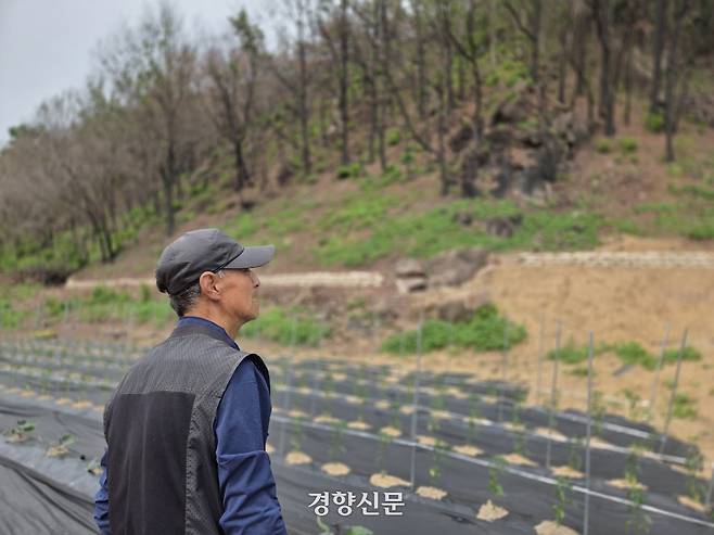 안동시 임하면 신덕리에서 만난 박기석씨(74)가 지난 21일 자신의 집터 위에 산사태 예방을 위해 설치된 모래주머니를 바라보고 있다. 김현수 기자