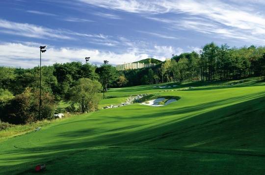 강원 횡성 웰리힐리 골프장. /엑스골프