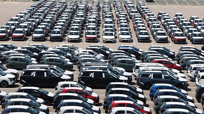 경기도 평택항에 수출용 자동차가 세워져 있는 모습.