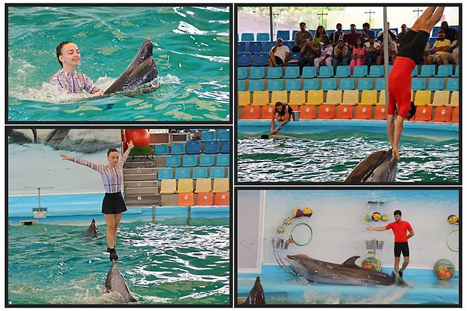 사진제공|손진석 기자(비즈월드)