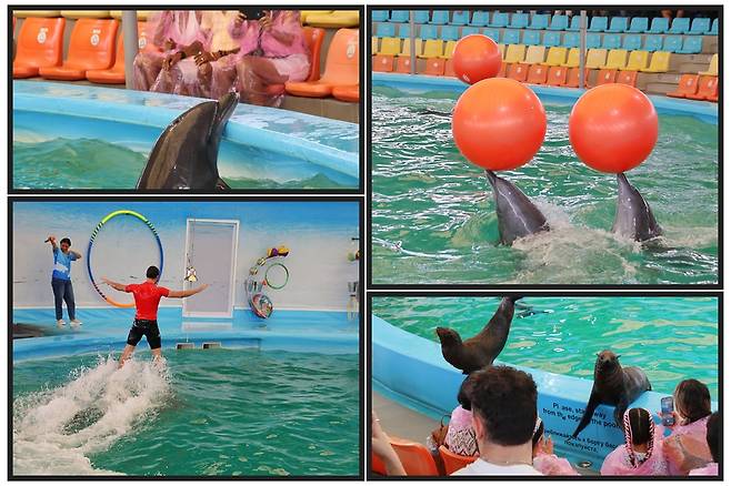 사진제공|손진석 기자(비즈월드)